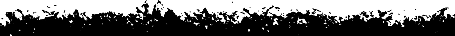 Silhouette of grass with scattered edges against a transparent background.